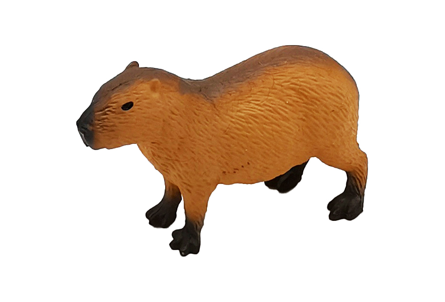 KAPIBARA Kapibara | Amazon.com.br