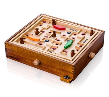 Labirinto inclinabile con pallina Rompicapo