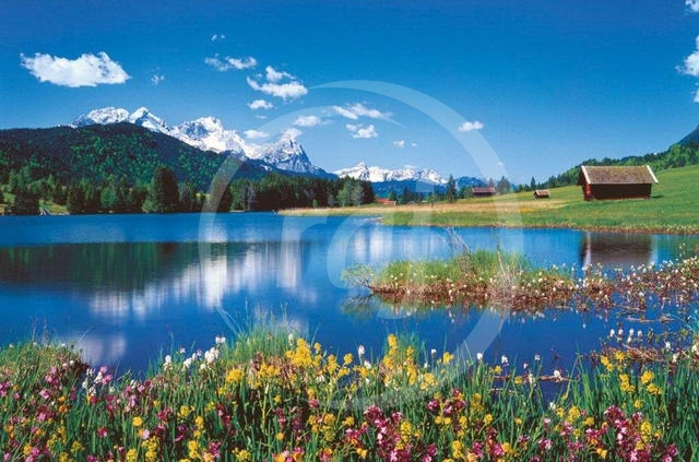 Puzzle 3000d