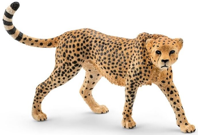 Schleich Vadon élő állatok