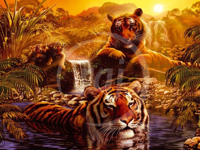 Puzzle 2000d