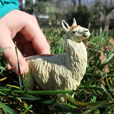fcewcpedkfv9j50mbweq_1200x1200_crop_center.jpg