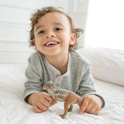 a7330fbb7e2246524054e8c3d748842ee152aced_1000x1000_crop_center.jpg