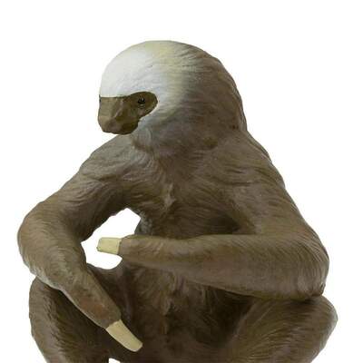 9efe25c37020443d6654ef9d03d57fb7da2f5e11_1000x1000_crop_center.jpg