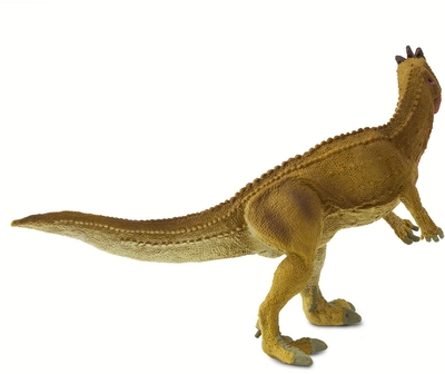 sfs303029_3.jpg