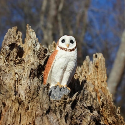 n00kwwrv0gk8sk7h7cxp_1600x1600_crop_center.jpg