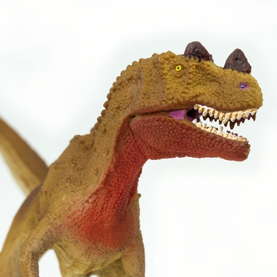 sfs303029_4.jpg