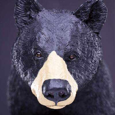 8cce6d651bb7ab01362dbd0a52ba74216560db47_1000x1000_crop_center.jpg