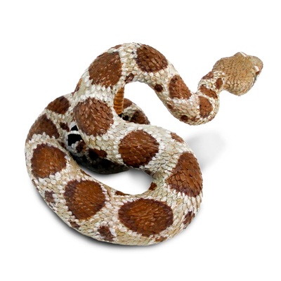jmtqnur7vackjjg6luch_1600x1600_crop_center.jpg