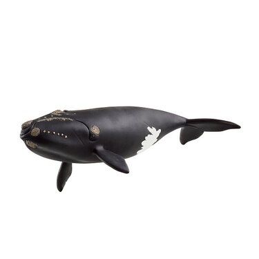 forme BALENA Size 6 1/2（26.5） Schleich Animal - Balena nord-atlantică - Schleich Animale
