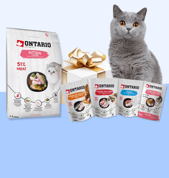 Gratisgeschenk
