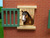 Kids Globe Farming Pferdestall aus Holz 72x60x30cm 1:24 in der Box