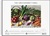 Puzzle Galison Greenmarket Table 1500 piese