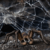 Schleich Harry Potter - Aragog