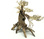 Bonsai Driftwood 40 x 30 x 33 cm No.100