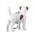 Mojo Kľúčenka Jack russel terier
