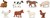 Safari® Fun pack Zvieratá z Farmy 8 figúrok