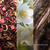WW Kerze Klein White Tea &amp; Jasmine