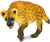 Safari® Hyena