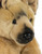 DOGS Nemecký ovčiak realistická plyšová hračka 28cm