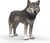 Schleich Lup american