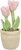 Juguete Trixie tulipán 27cm