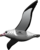 EUGY Kraljevski albatros 3D kartonska sestavljanka