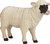 Mojo Ovca Hampshire