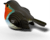 EUGY Červenka 3D kartonová skládačka