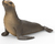 Schleich Leu de mare