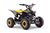 Quad per bambini a benzina Beneo Motors Adventure gialla - 50cm3