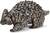 Safari® Equidna