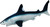 Safari®  Žralok porbeagle