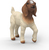 Schleich Ied de capră boer