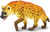 Safari® Hyena