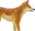 Safari® Dingo