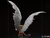 Iron Studios DC Comics - Hawkgirl Statue Deluxe Art Scale 1/10