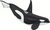 Safari® Orca