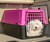 Cutie de transport Ferplast Atlas 10 lila 32,5 x 48 x 29 cm