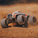 Arrma Granite Grom 1:18 4WD Smart RTR crveni