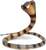 Safari® Cobra