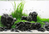 Dark Seiryu stone MIX kartón 10kg
