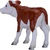 Mojo Hereford Kalb