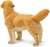 Safari® Zlatý retriever