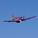 E-flite P-51D Voodoo 0.44m SAFE Select BNF Basic