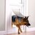 Алуминиеви врати PetSafe с гъвкава клапа, изрез 64,2x36,6см