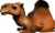 EUGY Velbloud 3D kartonová skládačka