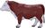 Mojo Hereford Stier