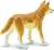 Safari® Dingo