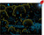 Janod Magické puzzle Les s baterkou 24 ks